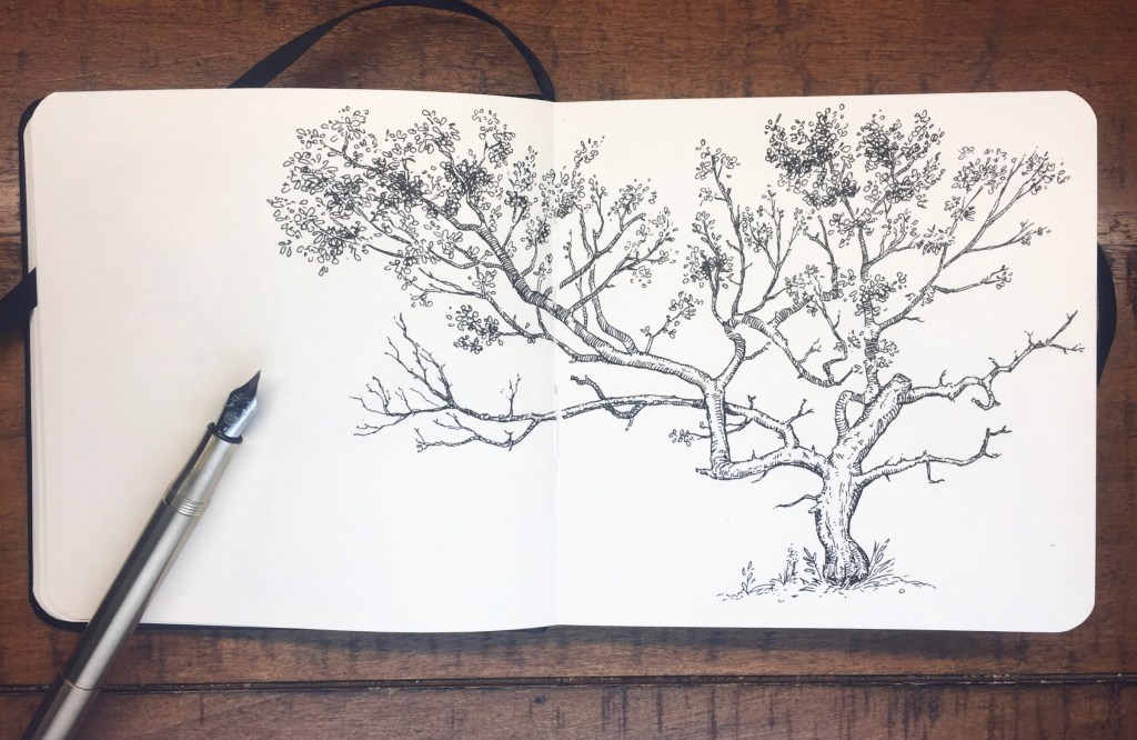 Tree Ink Study #2